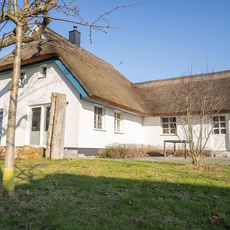 Haus Tadder Villa Born Kültér fotó